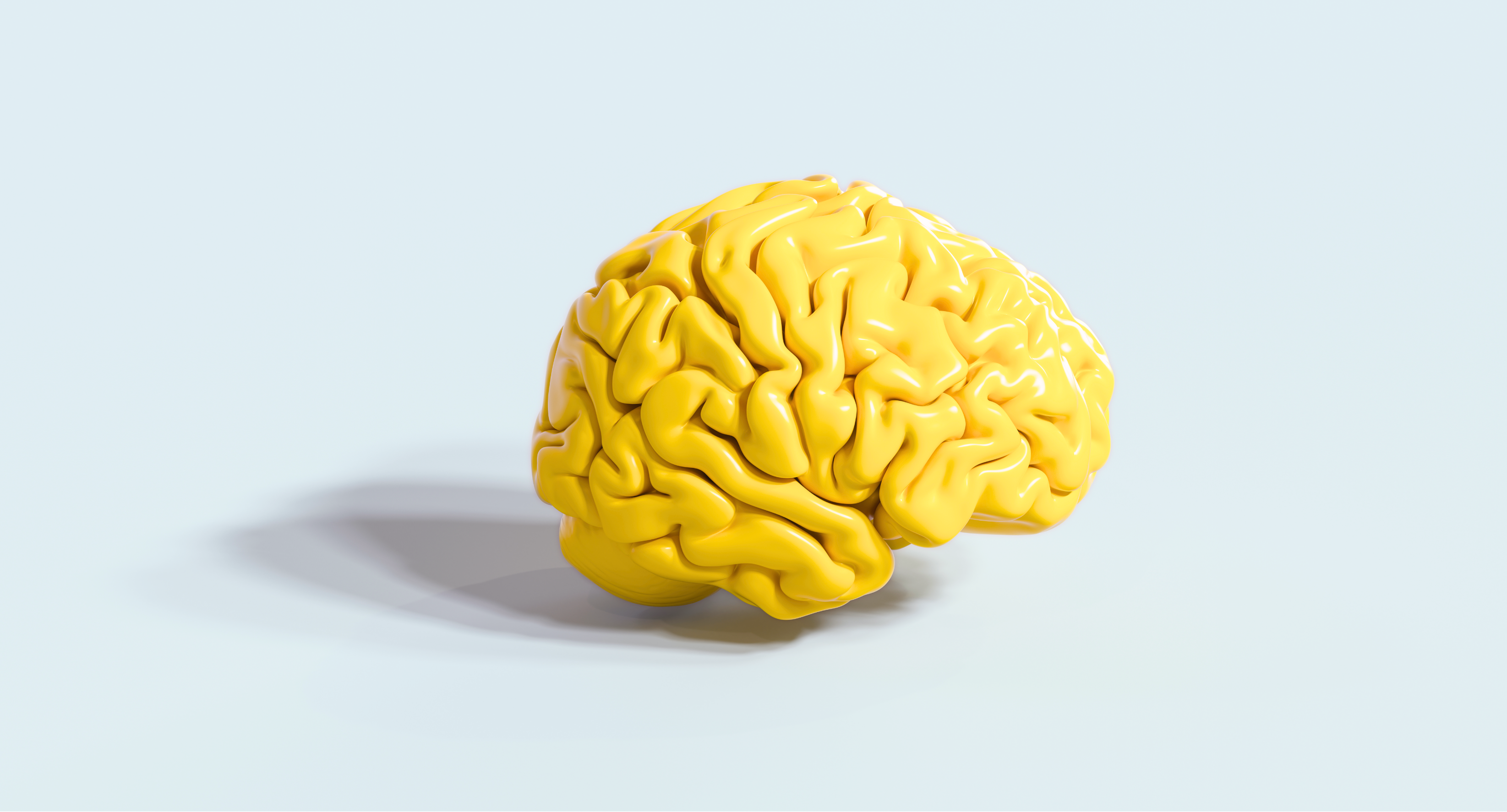 Yellow Brain -1549 x 835 V2 - AI